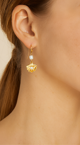 Clam & Pearl Dangle Hook Earrings - Gold